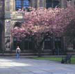 University Cloisters